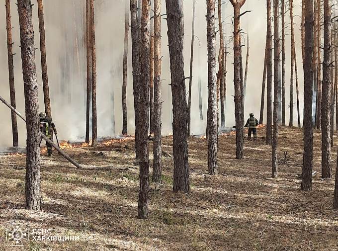 В Ізюмському районі Харківщини тривають лісові пожежі